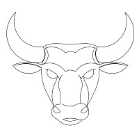 bull head 001